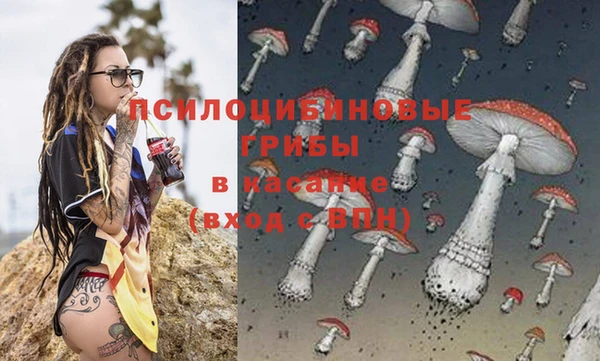 индика Алзамай