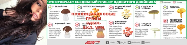 индика Алзамай