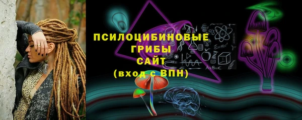 индика Алзамай