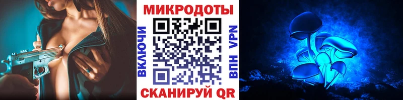 купить   Ермолино  Галлюциногенные грибы MAGIC MUSHROOMS 
